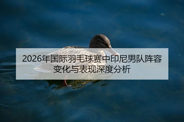 2026年国际羽毛球赛中印尼男队阵容变化与表现深度分析